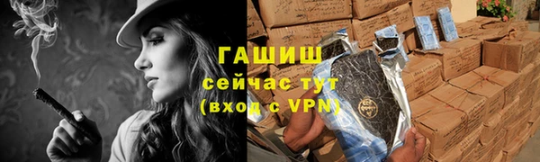 гашик Ельня
