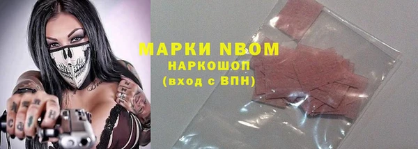 гашик Ельня