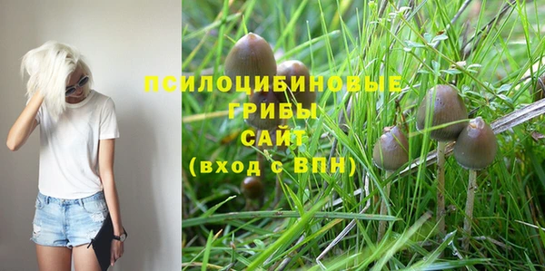 гашик Ельня