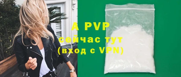 спиды Елизово