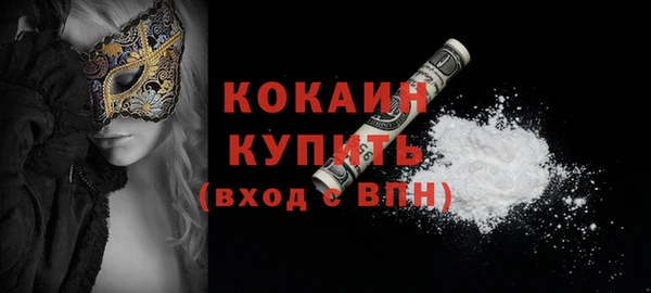гашик Ельня