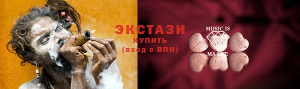 гашик Ельня