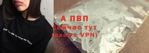 спиды Елизово