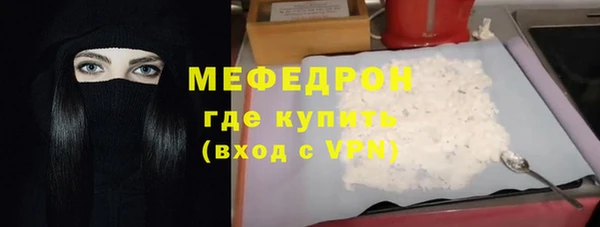 гашик Ельня