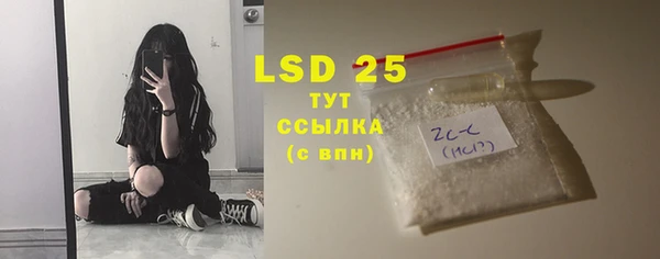 гашик Ельня