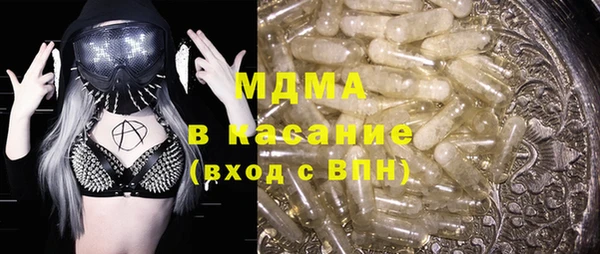 гашик Ельня