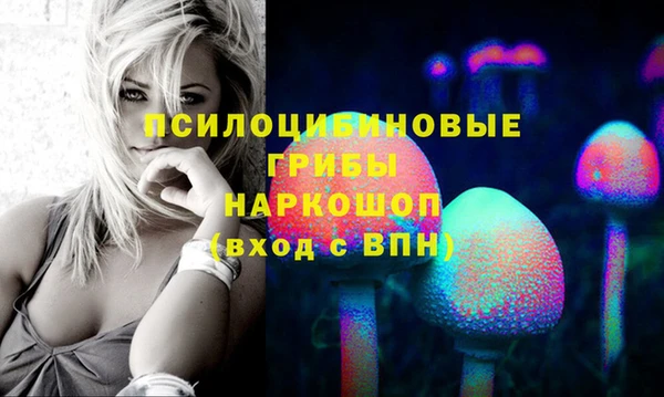 гашик Ельня
