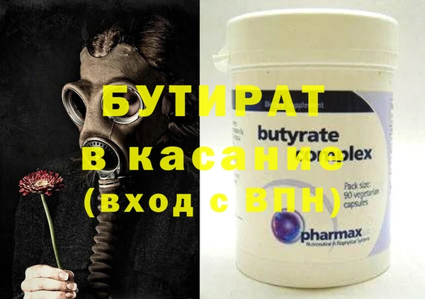гашик Ельня