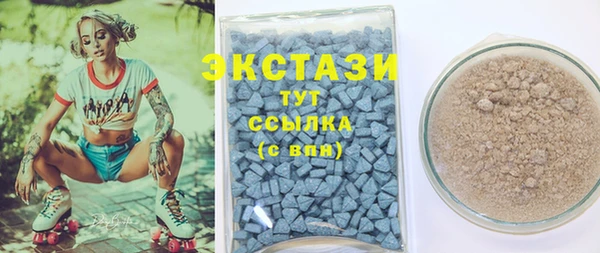 гашик Ельня