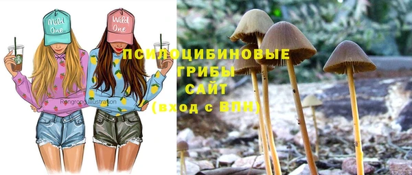 гашик Ельня