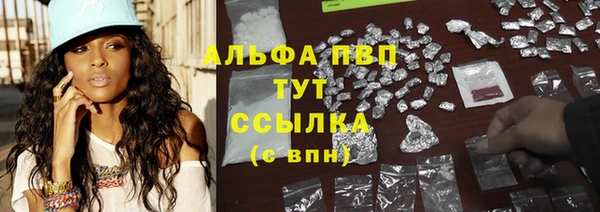спиды Елизово