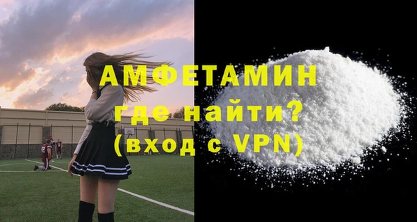 гашик Ельня
