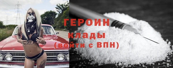 гашик Ельня